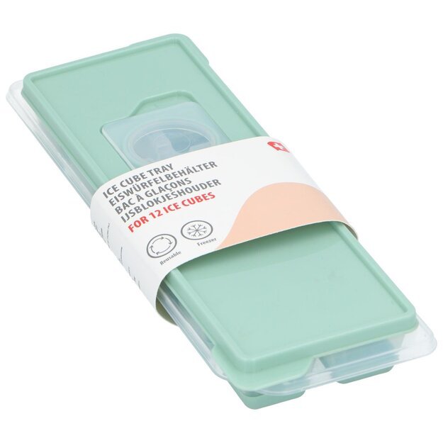 Alpina ledo formelė, 12 kubelių, įvairių spalvų, 26 × 9,3 × 3,4 cm 871125255605 2