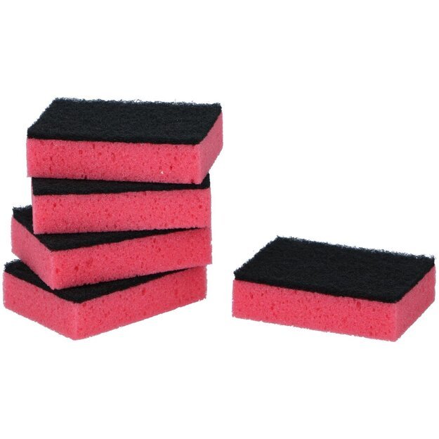 Dirt Devil valymo kempinė Premium, 105 × 75 × 30 mm, 5 vnt  871125247765