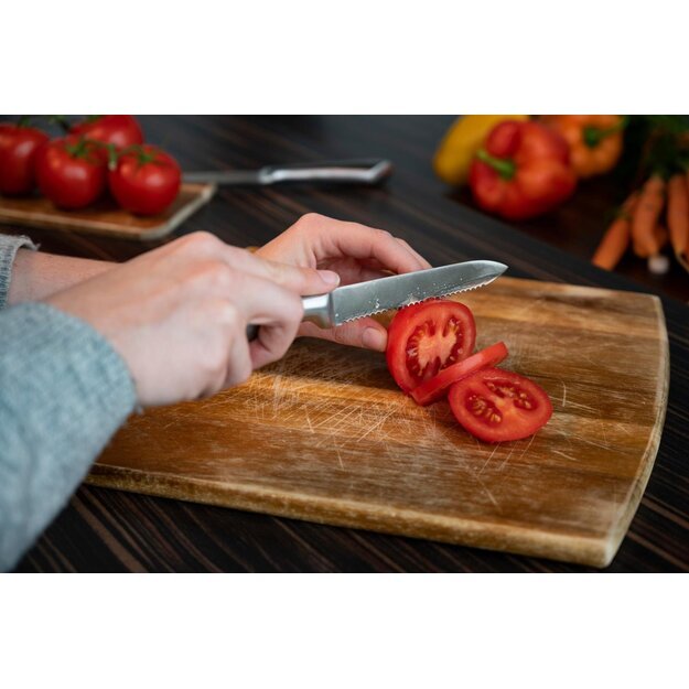 ALPINA universalus ir skutimo peiliai, 20/24 cm 871125287007 2